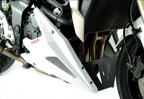 Powerbronze Bugspoiler SUZUKI