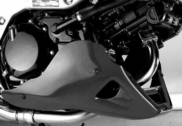 Powerbronze Bugspoiler SUZUKI TL 1000 S
