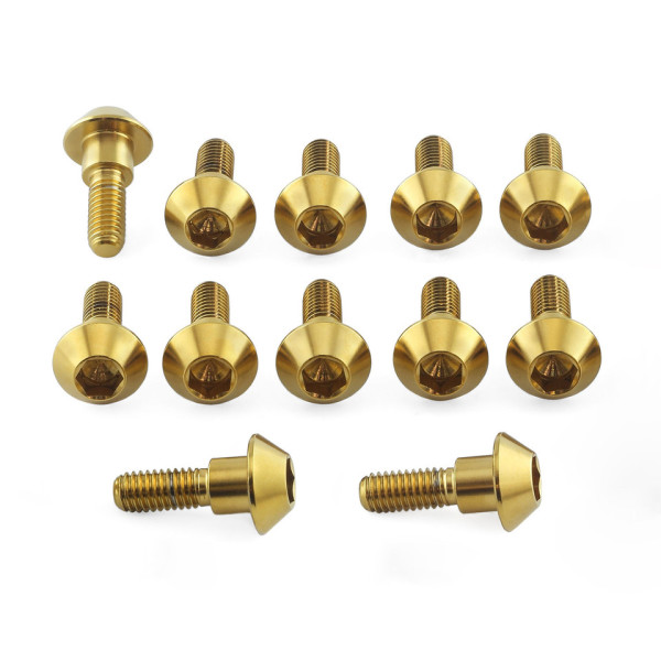 Edelstahl Bremsscheibenschraubensatz vorne Yamaha XJR 1300 04-16, Yamaha R1, R6, FZ-1, etc.