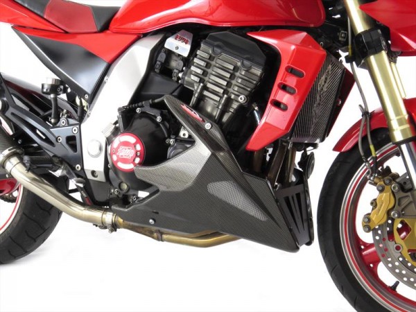 Powerbronze Bugspoiler KAWASAKI Z 1000